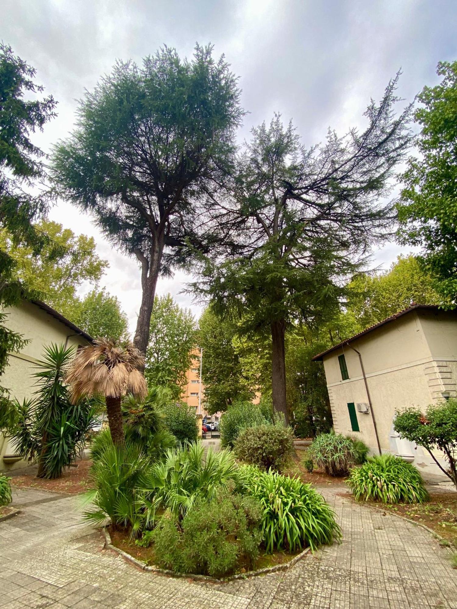 A Casa Con Greta Διαμέρισμα Ρώμη Εξωτερικό φωτογραφία